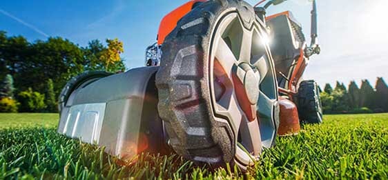 Modern Gasoline Lawn Mower - Lawn Mowers in Greenville, NC