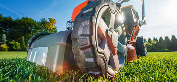 Modern Gasoline Lawn Mower - Lawn Mowers in Greenville, NC